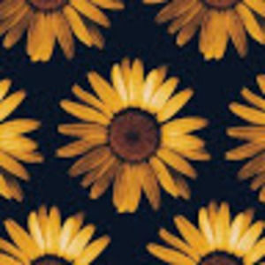 Meet your Posher, Racquelyn